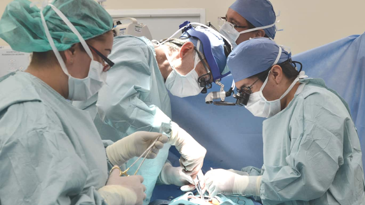 Cirujanos reconstruyen tejidos en cabeza de niño que fue atacado por un perro