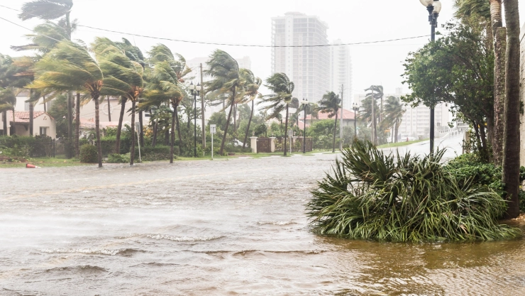 El paso de un huracán por Florida