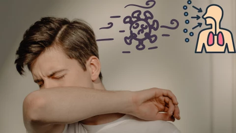 Diseño sin título.png