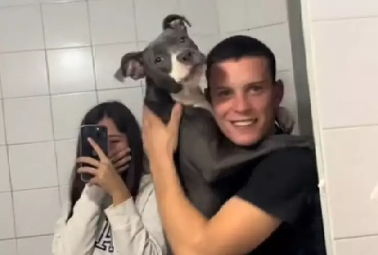 VIDEO_ Perro se ve por primera vez en el espejo y se quiere pelar con él mismo