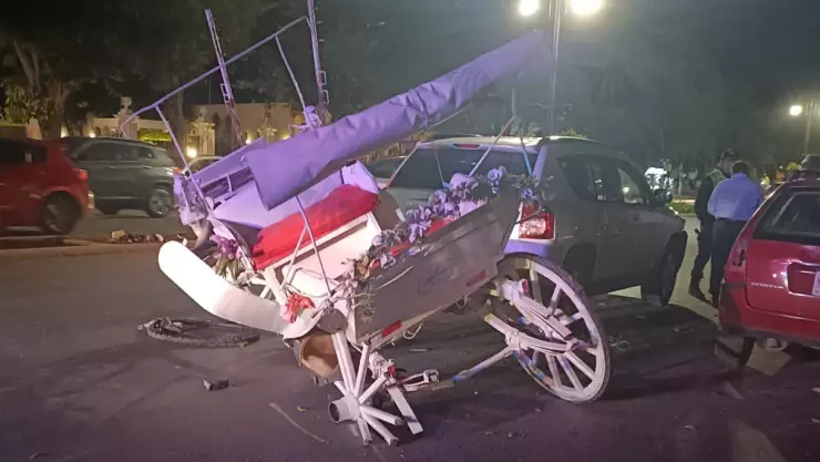 chocan calesa caballlo paseo montejo