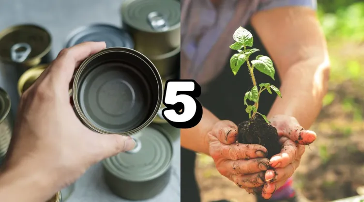 /estilo-de-vida/vegetales-sembrar-lata-vacia-balcon-faciles-de-cuidar