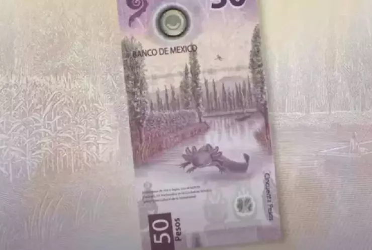 ¿Lo tienes_ Dan hasta 900,000 MIL por este billete de 50 pesos con estas características.