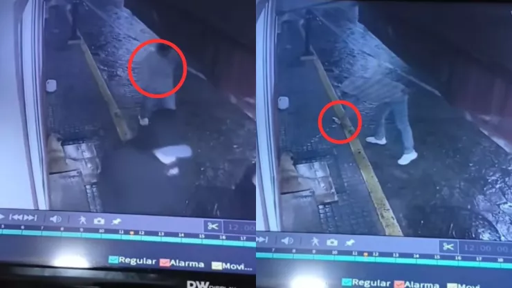 VIDEO INDIGNANTE | Perrito se refugiaba de las lluvias y un sujeto le lanza con gran fuerza una cerveza