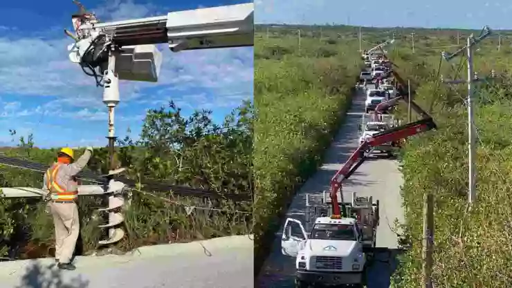 cfe compra carbon productores pequeños.jpg