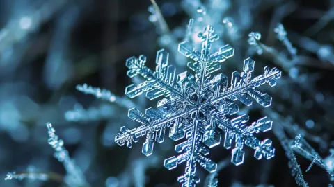 FRENTE FRÍO 6 EN MÉXICO OCT.