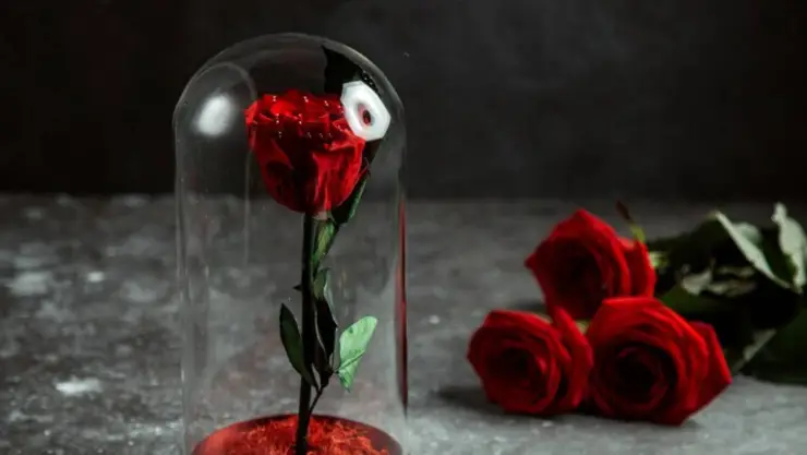 ¿Qué son las Rosas Eternas y dónde comprarlas_ Ideas de regalos para el 14 de Febrero.jpg