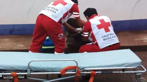 Horror en Tabasco: 5 feroces y angustiantes ataques de cocodrilos en 2024