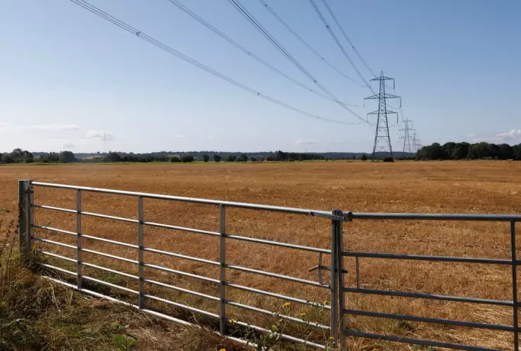 Localizan siete variantes de COVID en China