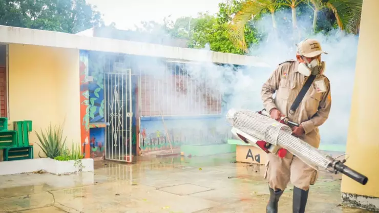 SESA fortalece estrategia de eliminación de criadero de moscos en Quintana Roo