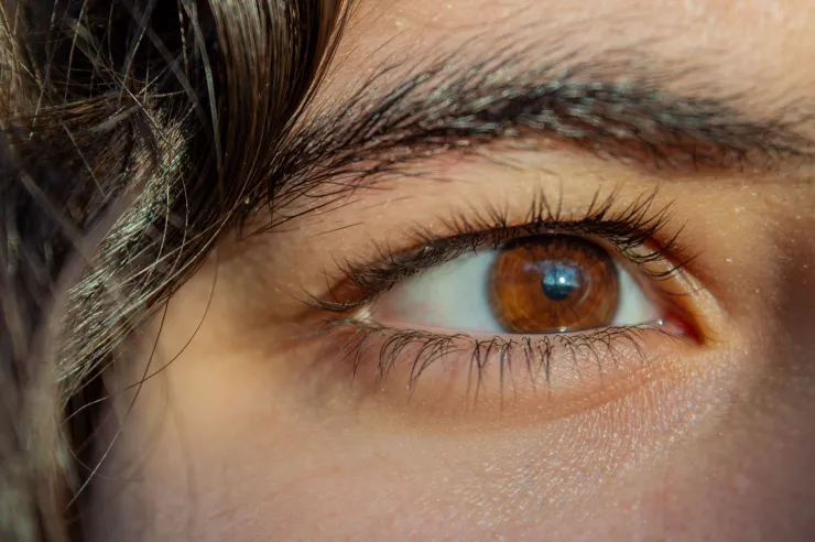 Estos son los colores de sombras que resaltarán los ojos cafés