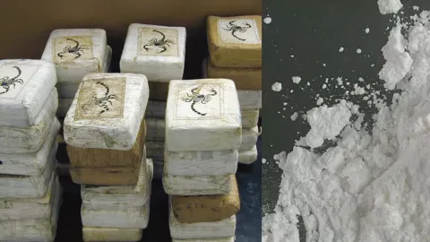 Ladrillos de cocaína de un kilogramo con sello de escorpión