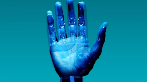 meta tacto robots.jpg