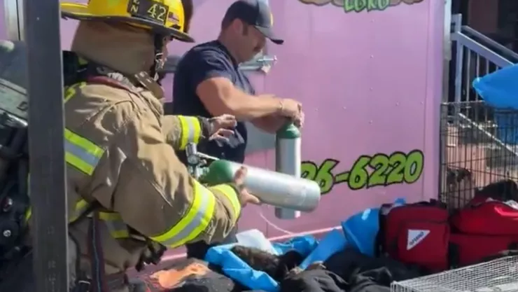 Incendio en centro comercial de Texas mata a animales ¿Por qué ocurrió el accidente? (VIDEO)