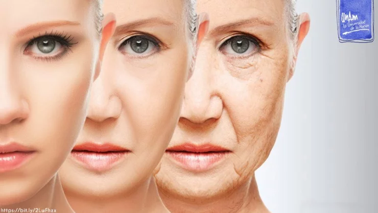 Se puede detener el envejecimiento Experta de la UNAM lo explica