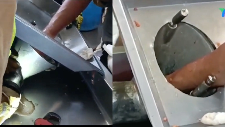 VIDEO: Carnicero de Zapopan termina con el brazo atorado en molino eléctrico