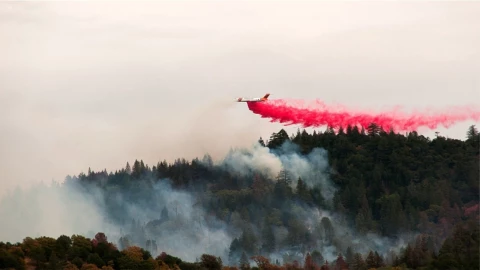Qué es el polvo rosa que usan para apagar los incendios en California