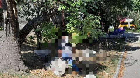 Parque Rómulo O’ Farril de la colonia La Paz hoy 12 de marzo de 2025