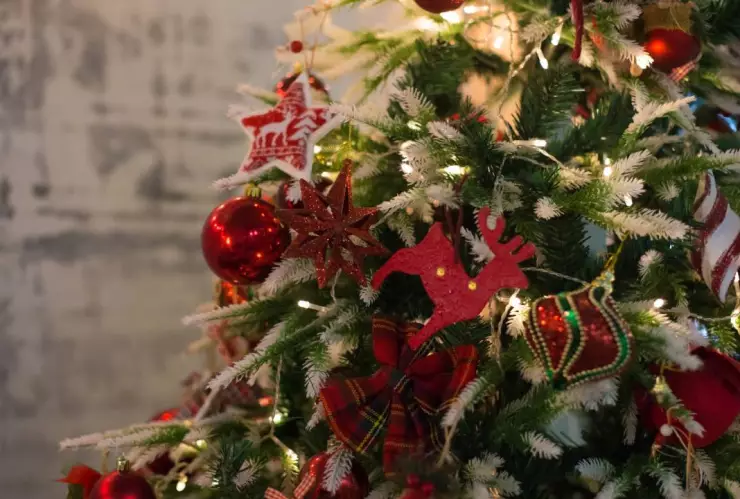 montan Árbol Navideño en la Plaza del Ángel