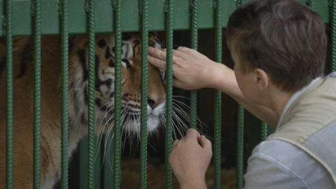 Rescatan a animales salvajes en Ucrania.