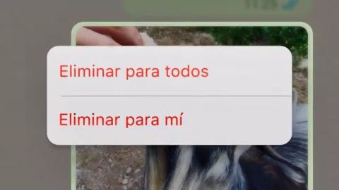así-puedes-eliminar-mensajes-whatsapp-si-te-equivocaste-puedes-deshacer-acción