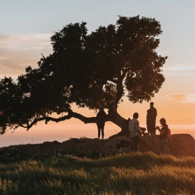 /estilo-de-vida/filosofía-china-detrás-árbol-torcido-árbol-recto