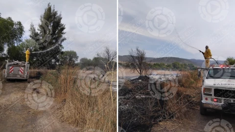 Incendio de pastizal en Santa Catarina moviliza a bomberos y Protección Civil de San Felipe, 2 abril 2025.png