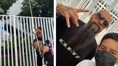 babo de cartel de santa baja mangos