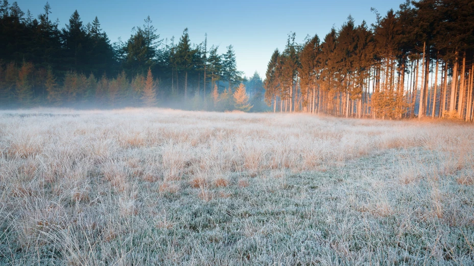 HELADAS CHIHUAHUA.jpg