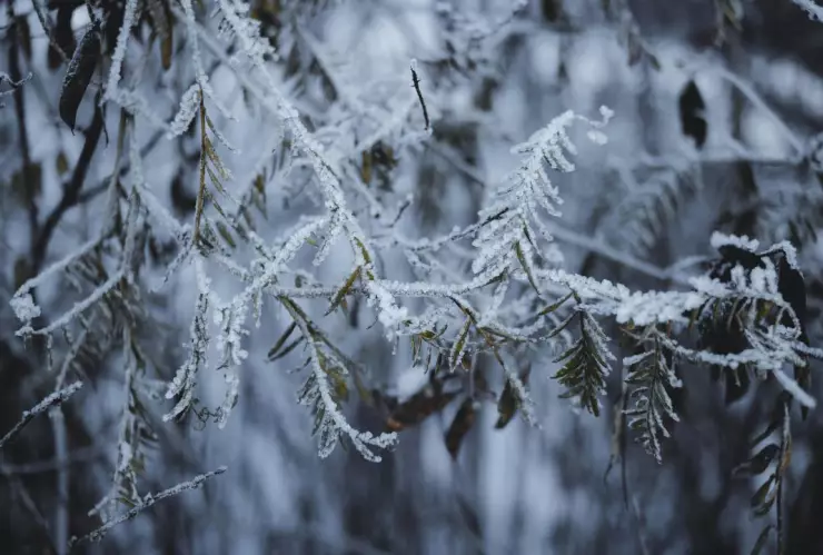 ¿Los frentes fríos se adelantan Esta sería la fecha en la que llegaría el primero a Aguascalientes