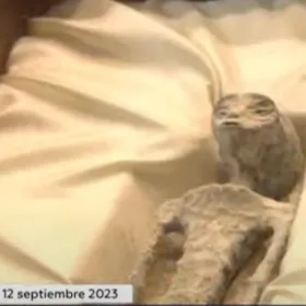 Exhiben cadáveres extraterrestres en el Congreso de México.jpg
