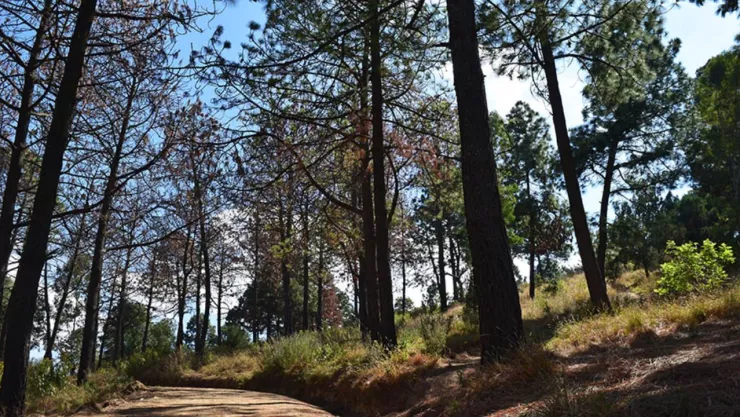 Conoce el Cerro Zapotecas de Cholula: Actividades y paisajes únicos este 2025