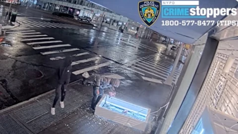 Bolsos-de-lujo-ladrones-miles-de-dólares-casa de subastas-Manhattan-video