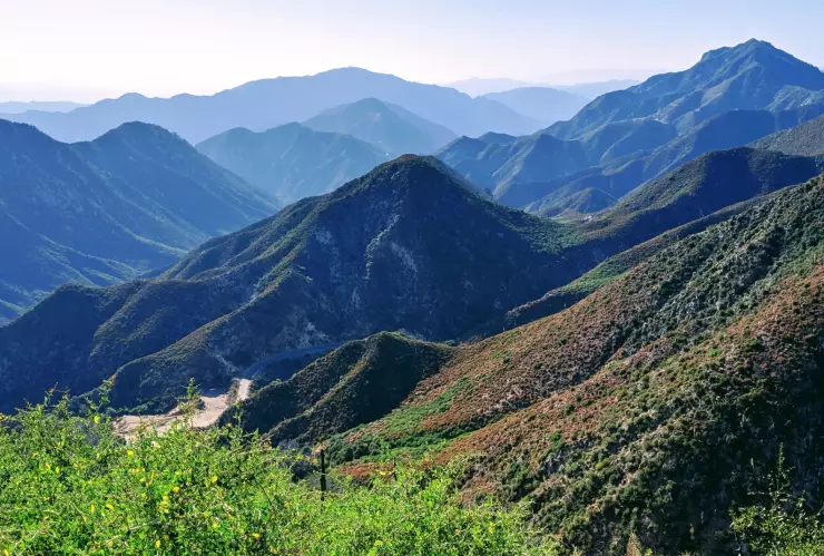 Panorámica del Bosque Nacional de Los Ángeles