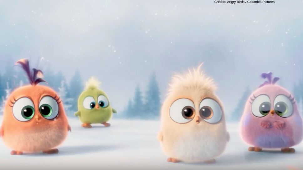 angry birds