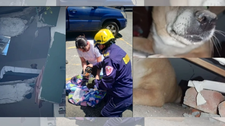 Kiara y Luna fueron rescatadas de un edificio al borde del colapso