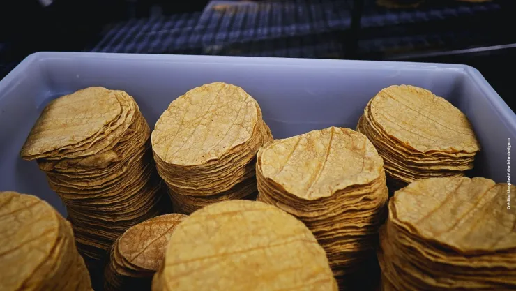 ¿Por qué el precio de las tortillas aumentó mucho en México?
