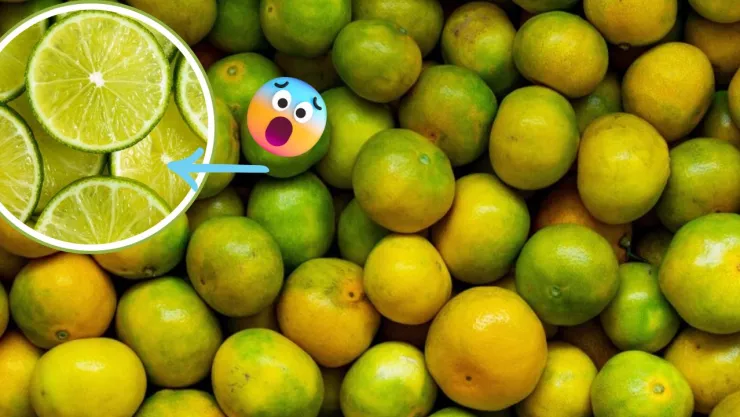 PRECIO DEL LIMÓN MEXICANO