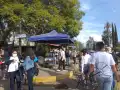 En estos mercados de flores puedes comprar tus nochebuenas.