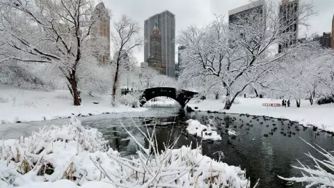 Tormenta invernal en Nueva York