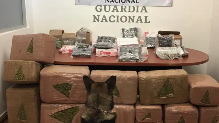 MARIHUANA-PAQUETERIA.jpg