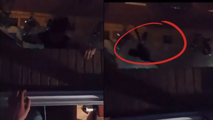 cae al hacer un truco