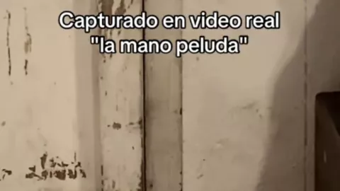 VIDEO REAL | Captan en cámara la manifestación de la “mano peluda”