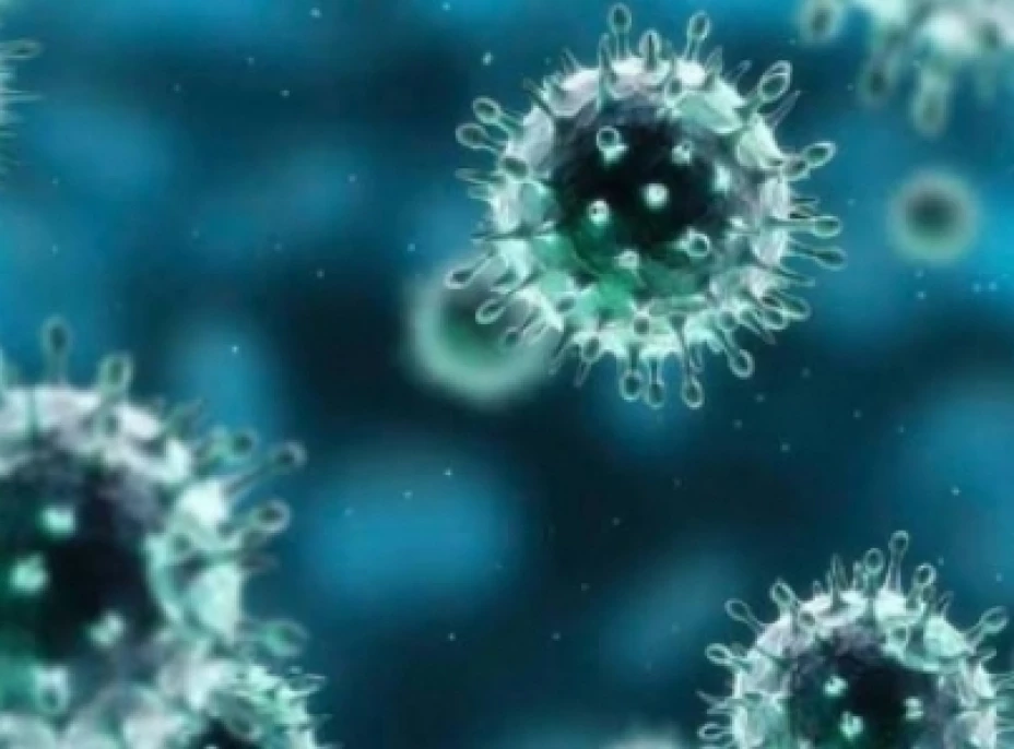 Coronavirus