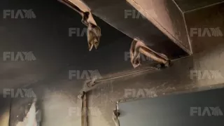 Vandalizan secundaria en Bellavista, Culiacán