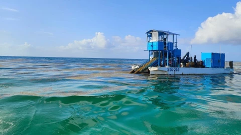 Buque sargacero busca blindar a Playa del Carmen del sargazo