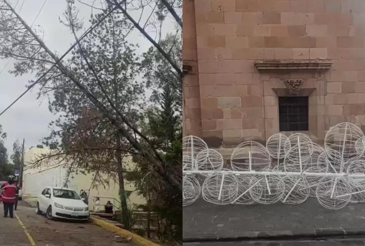 Clima en Zacatecas Fuertes rachas de viento derriban un árbol y adornos navideños