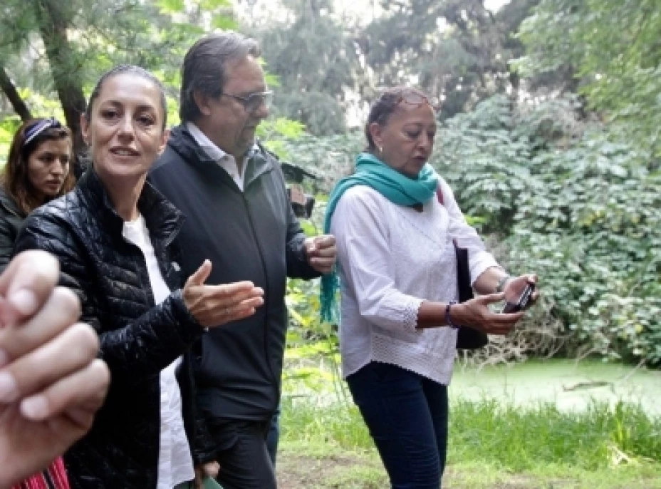 Protección ambiental