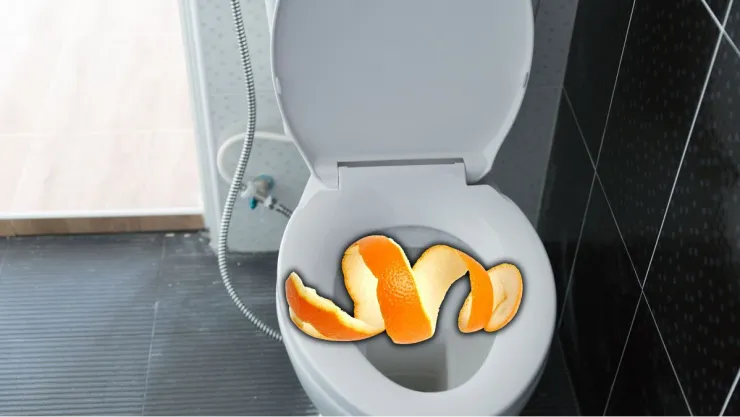 Qué pasa si colocas cáscaras de naranja en la taza del baño: podría salvar tu salud
