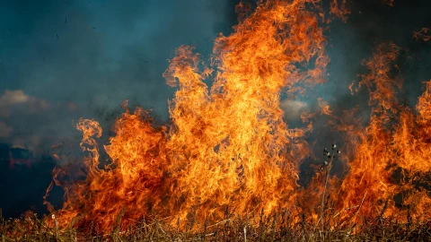 ¿Qué es y cuándo inicia la temporada de estiaje en Jalisco?